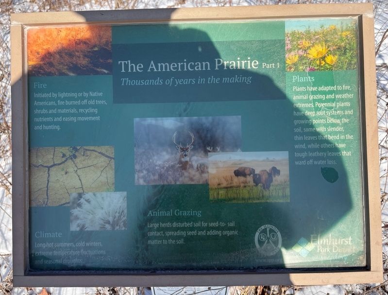 The American Prairie Marker image. Click for full size.