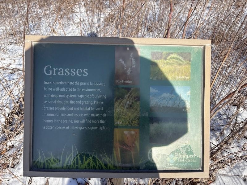 Grasses marker image. Click for full size.