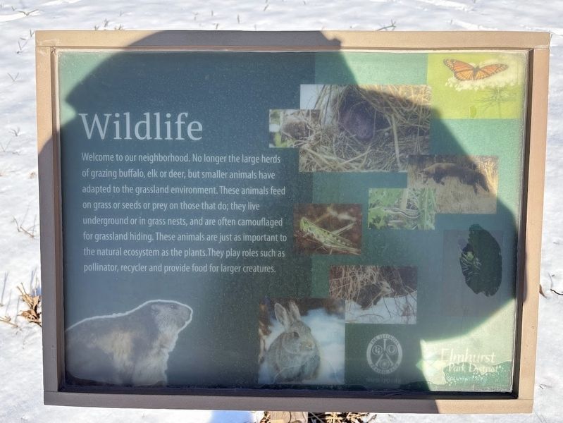 Wildlife Marker. Click for full size. Wildlife Marker image. Click for full size.