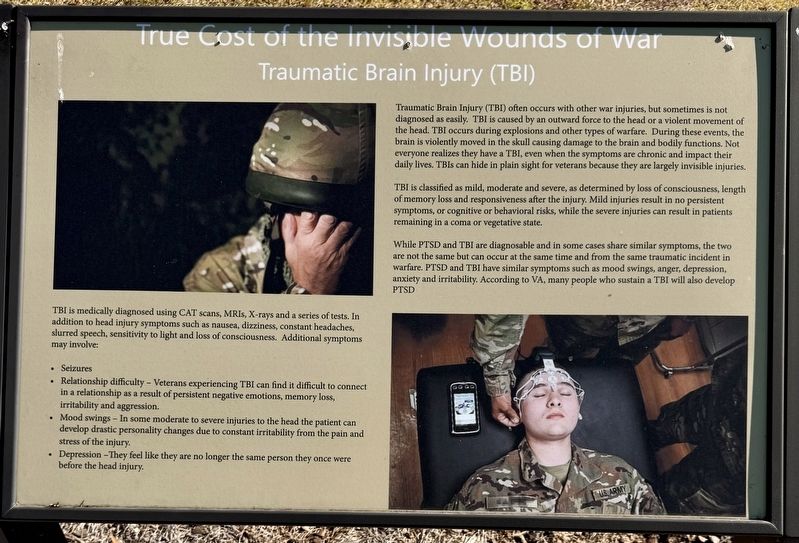 Traumatic Brain Injury Marker image. Click for full size.