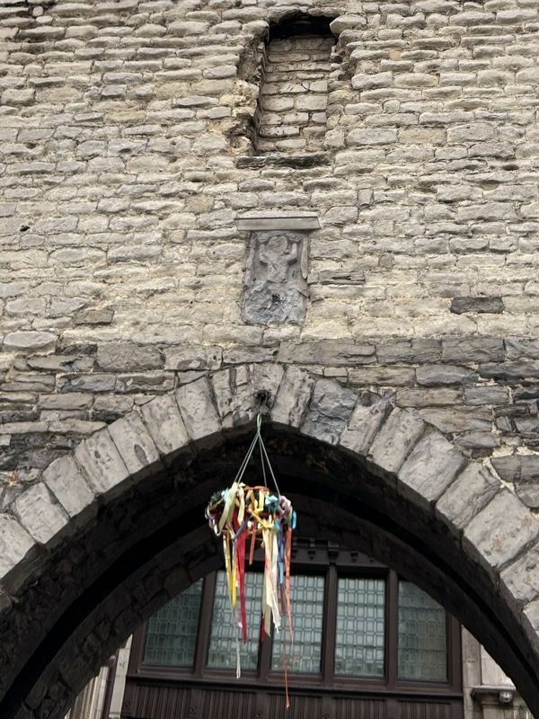 Semini image. Click for full size.