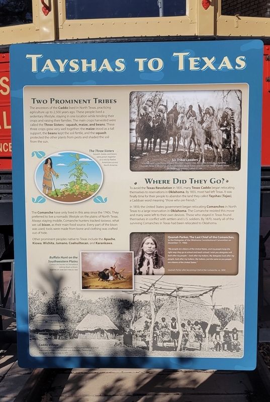 Tayshas to Texas Marker image. Click for full size.