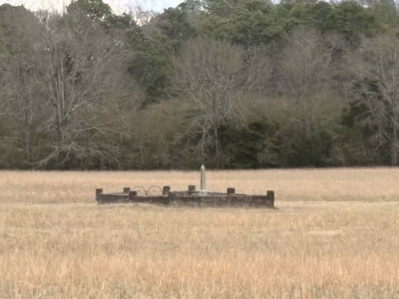 Branch family cemetery in the field across the street from the marker. image. Click for full size.