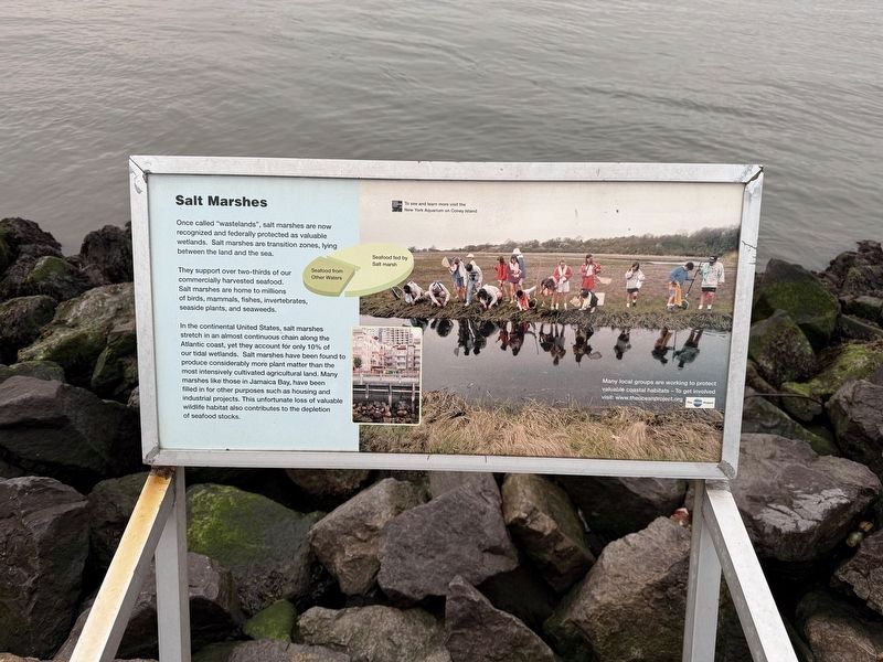 Salt Marshes Marker. Click for full size. Salt Marshes Marker image. Click for full size.