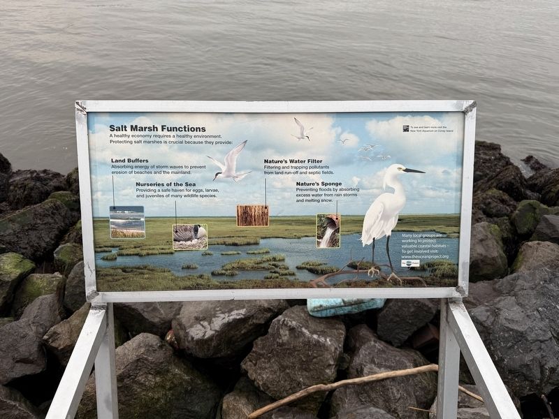 Salt Marshes Functions sign. Click for full size. Salt Marshes Functions sign image. Click for full size.