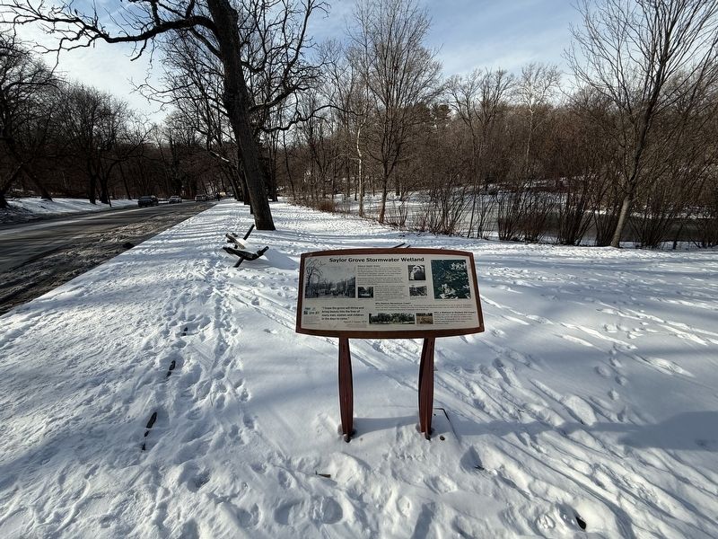 Sailor Grove Stormwater Wetland Marker. Click for full size. Sailor Grove Stormwater Wetland Marker image. Click for full size.
