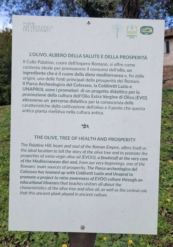 L'Olivo, Albero della Salute e della Prosperit� / The Olive, Tree of Health and Prosperity Marker image. Click for full size.