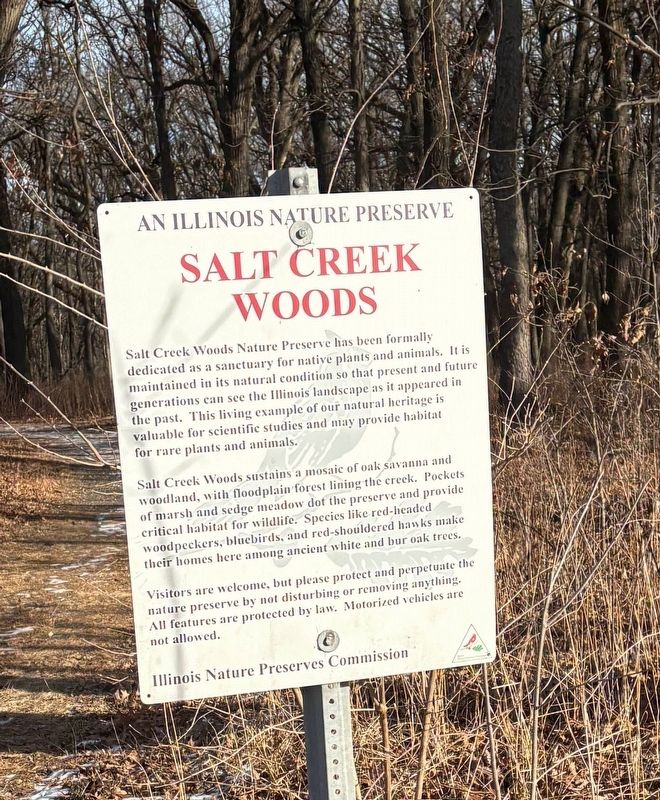 Salt Creek Woods Marker. Click for full size. Salt Creek Woods Marker image. Click for full size.