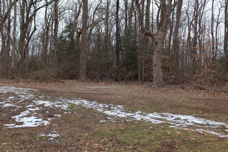 Redoubts 12 in the woods behind the long tee for Disc Golf Hole 10. Click for full size. Redoubts 12 in the woods behind the long tee for Disc Golf Hole 10 image. Click for full size.