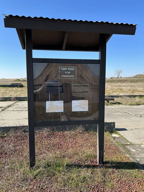 Camp Beale POW Compound Marker. Click for full size. Camp Beale POW Compound Marker image. Click for full size.