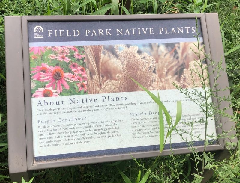 Field Park Native Plants Marker image. Click for full size.