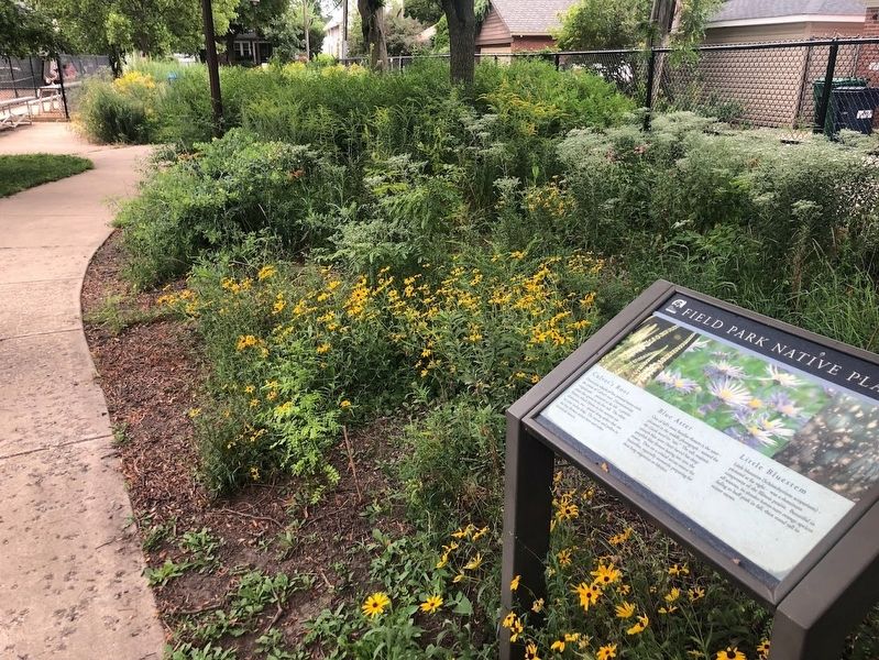 Field Park Native Plants markers image. Click for full size.