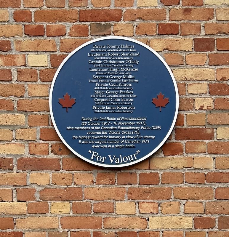 For Valour Marker. Click for full size. For Valour Marker image. Click for full size.