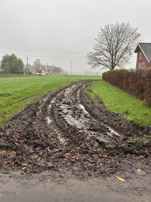 The Mud of Flanders. image. Click for full size.