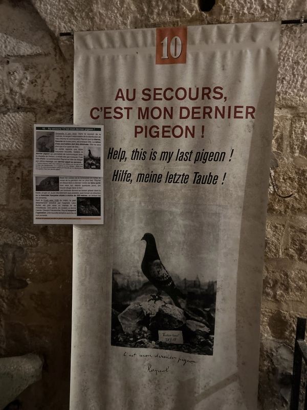 The Pigeon Display Inside the Fort. image. Click for full size.