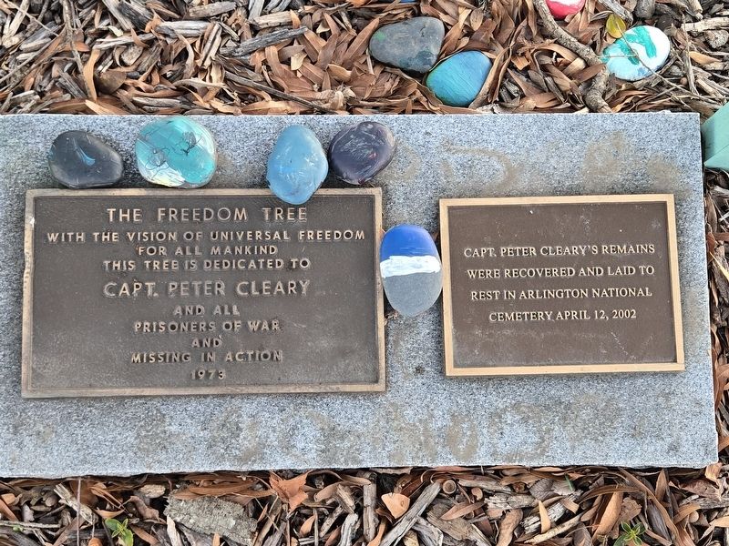The Freedom Tree Marker image. Click for full size.
