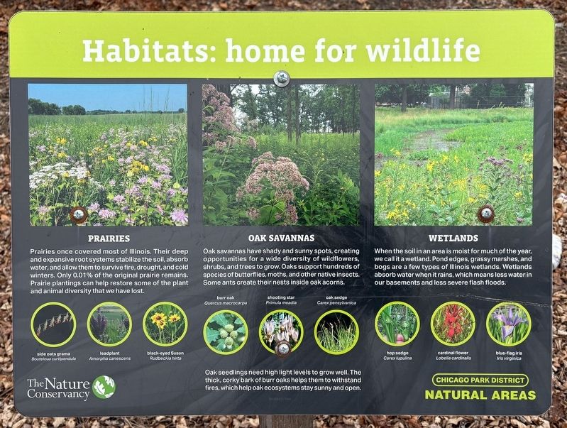 Habitats: Home for Wildlife Marker image. Click for full size.
