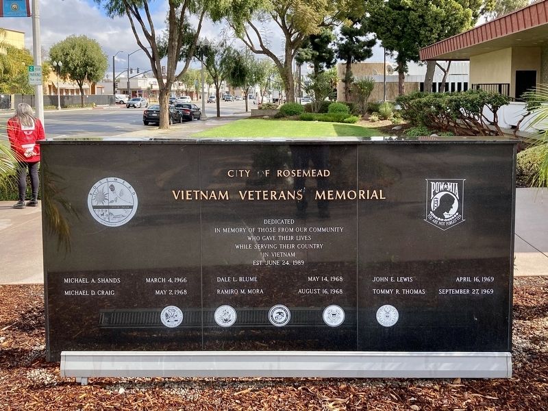 Vietnam Veterans Memorial image. Click for full size.