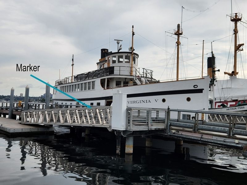 Virginia V. Click for full size. Virginia V image. Click for full size.