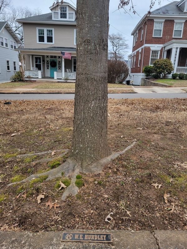 World War I Memorial Plaque and Tree. Click for full size. World War I Memorial Plaque and Tree image. Click for full size.