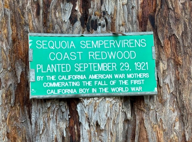 Sequoia Sempervirens Marker. Click for full size. Sequoia Sempervirens Marker image. Click for full size.