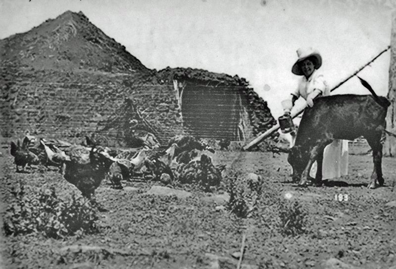 Marker detail: May Lillie feeds cattle, chickens, and turkeys on the ranch.. Click for full size. Marker detail: May Lillie feeds cattle, chickens, and turkeys on the ranch. image. Click for full size.