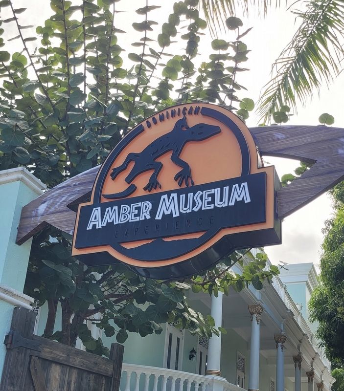 The Amber Museum image. Click for full size.