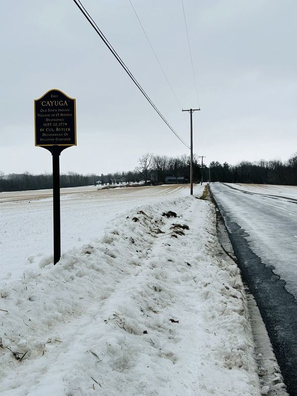 East Cayuga Marker. Click for full size. East Cayuga Marker image. Click for full size.