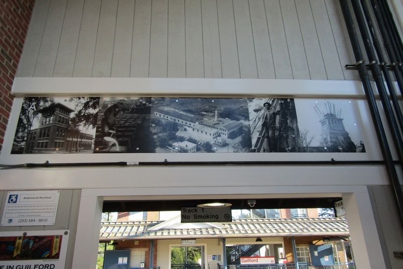 Panel A image. Click for full size.