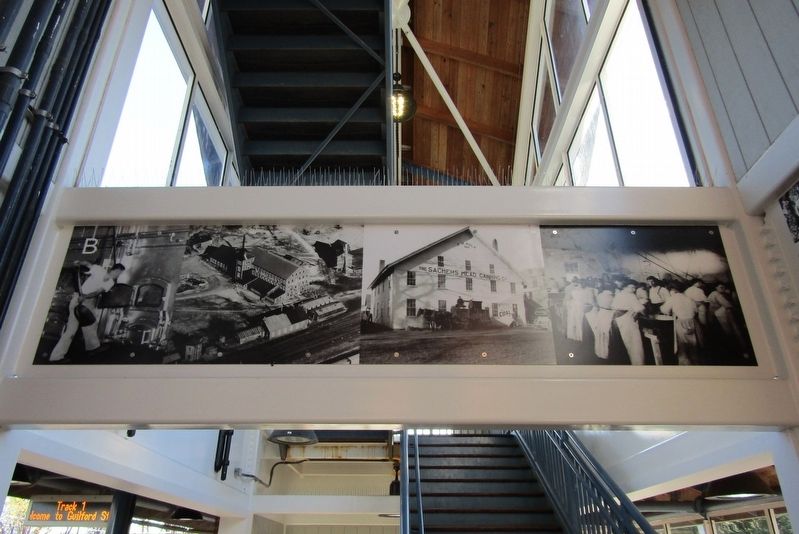 Panel B image. Click for full size.