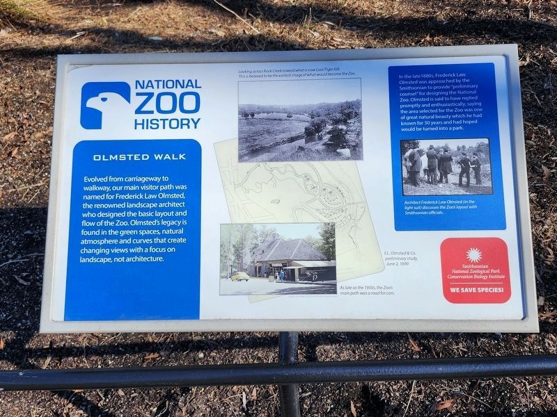 Olmsted Walk Marker image. Click for full size.