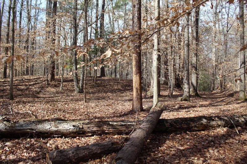 Spring Used By The 209th Regt. Penn Vols. Marker image. Click for full size.