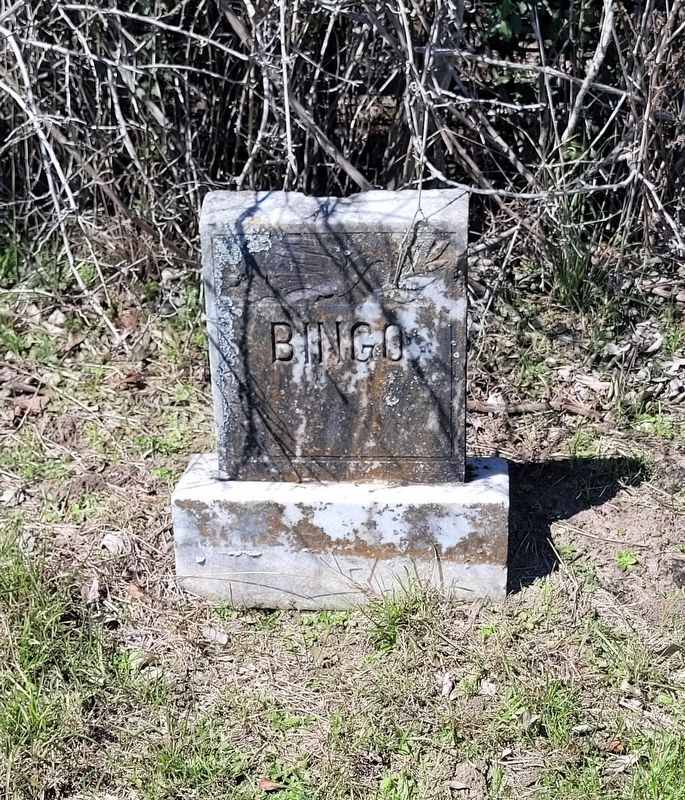 Bingos gravestone. Click for full size. Bingos gravestone image. Click for full size.