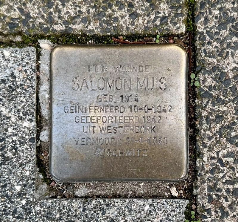Salomon Muis stolperstein. Click for full size. Salomon Muis stolperstein image. Click for full size.