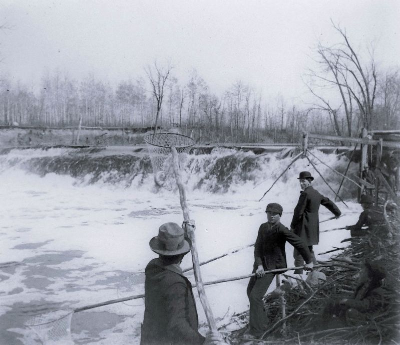 Marker detail: Men netting fish below the dam in Roseau, 1905. Click for full size. Marker detail: Men netting fish below the dam in Roseau, 1905 image. Click for full size.