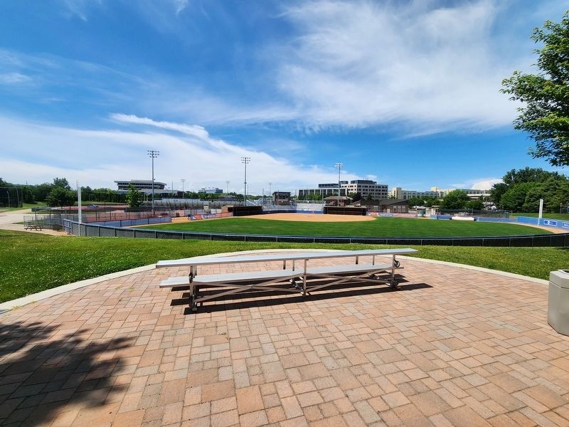 Dona Larsen Park image. Click for full size.