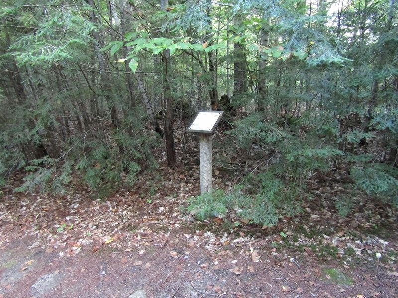 Hemlock Marker. Click for full size. Hemlock Marker image. Click for full size.