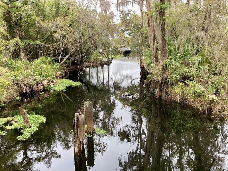 Shingle Creek image. Click for full size.
