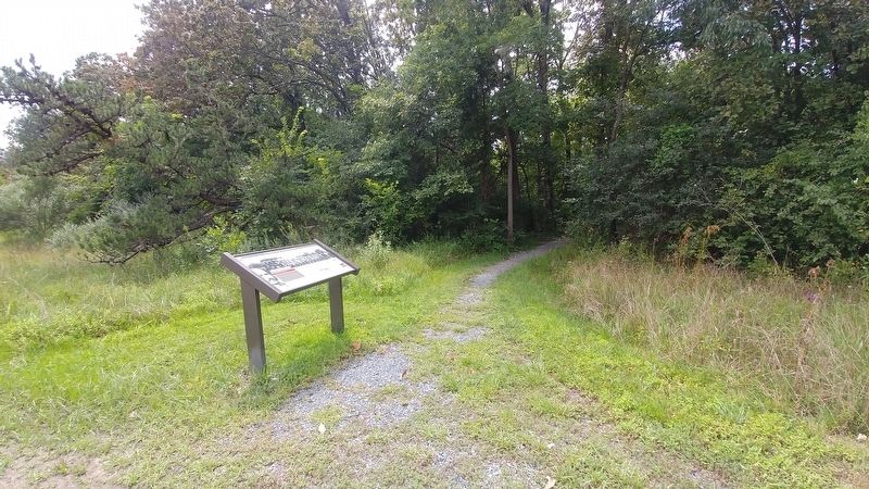 Tigers from the Woods Marker Along the West Woods Trail image. Click for full size.
