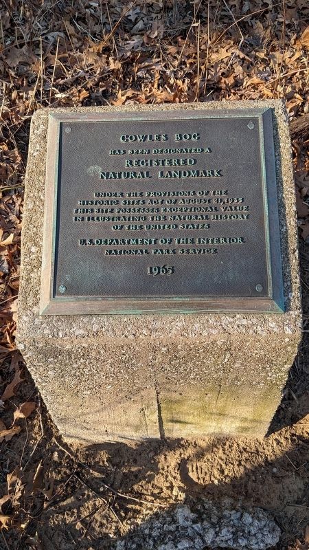 Cowles Bog Marker image. Click for full size.