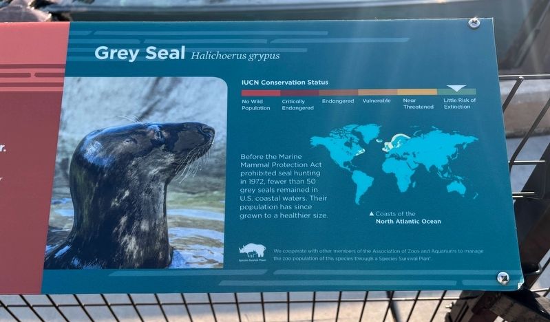 Grey Seal Marker image. Click for full size.