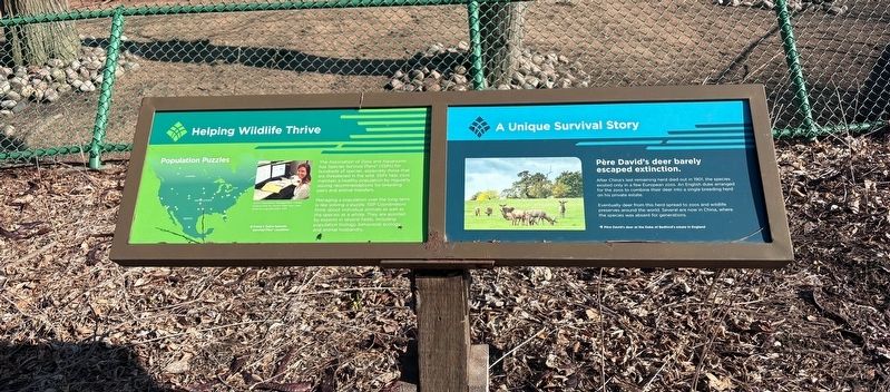 A Unique Survival Story Marker image. Click for full size.