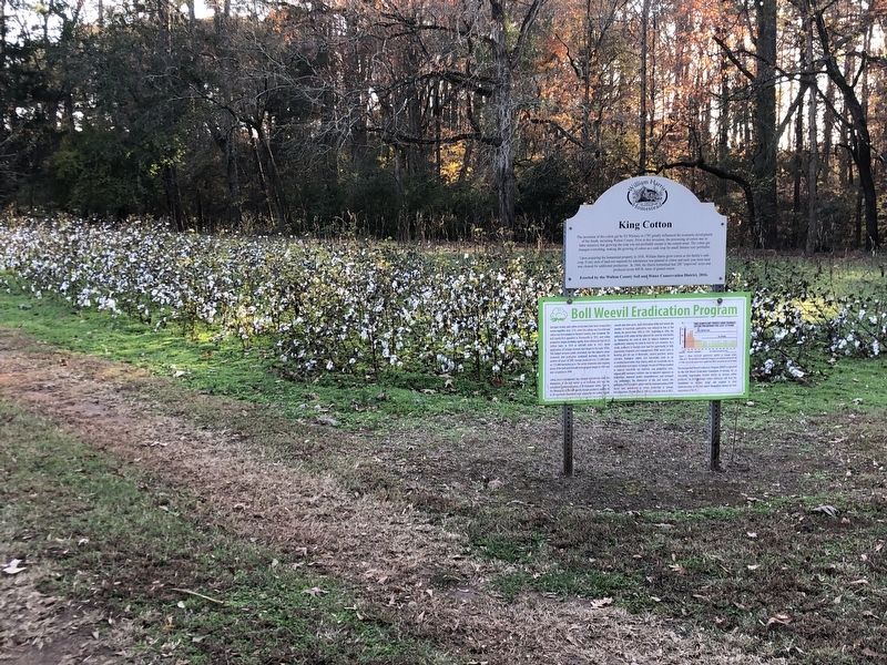 King Cotton Marker image. Click for full size.
