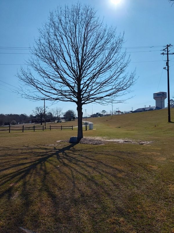 Veterans Memorial image. Click for full size.