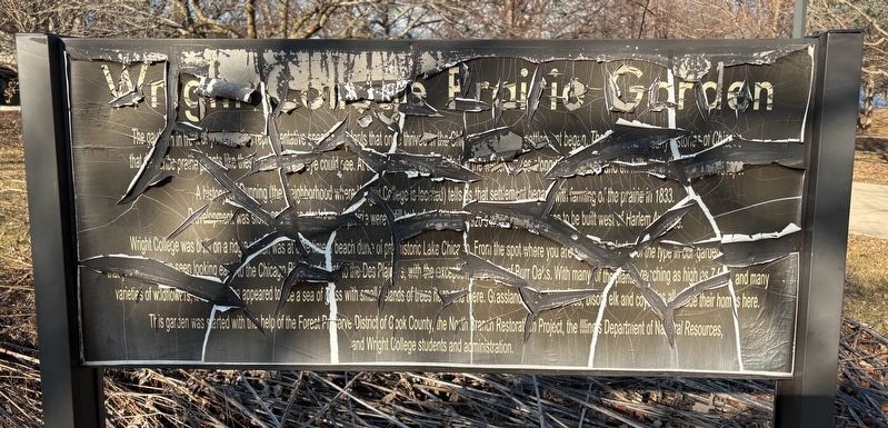 Wright College Prairie Garden Marker image. Click for full size.