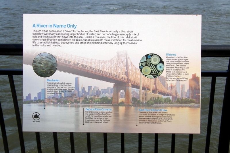 A River in Name Only wayside image. Click for full size.