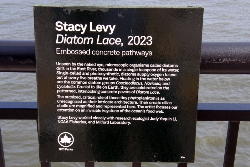 Diatom Lace Marker image. Click for full size.