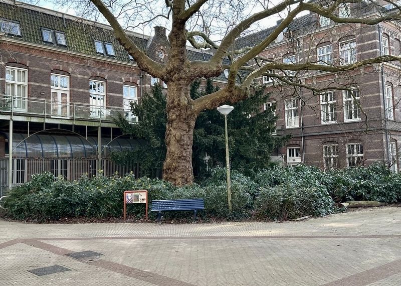 Anna Reijnvaan Marker - wide view image. Click for full size.