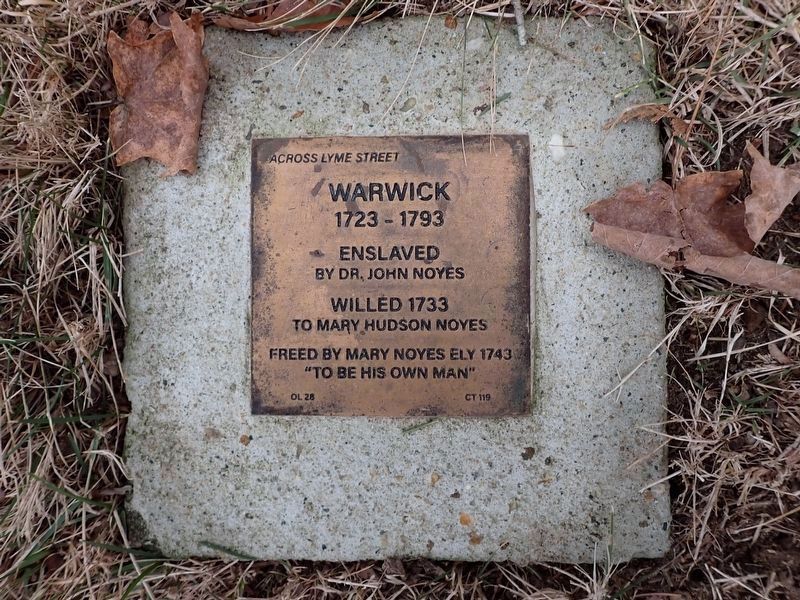 Warwick Witness Stone image. Click for full size.