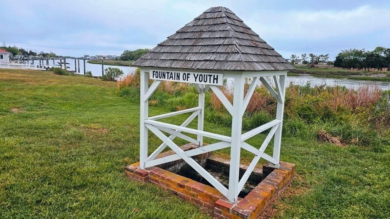 The Fountain of Youth image. Click for full size.